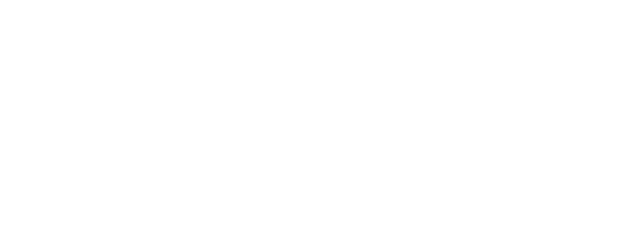 ORLEN Aviation